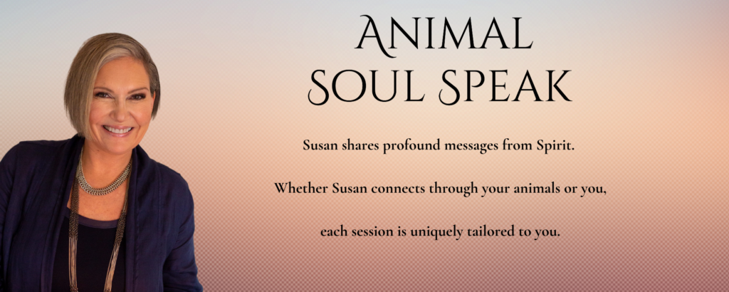 Animal Soul Speak with Susan Allen Medium Animal Soul Speak