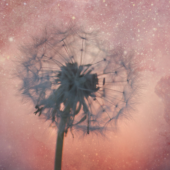_Personal-soul-speak_v1__